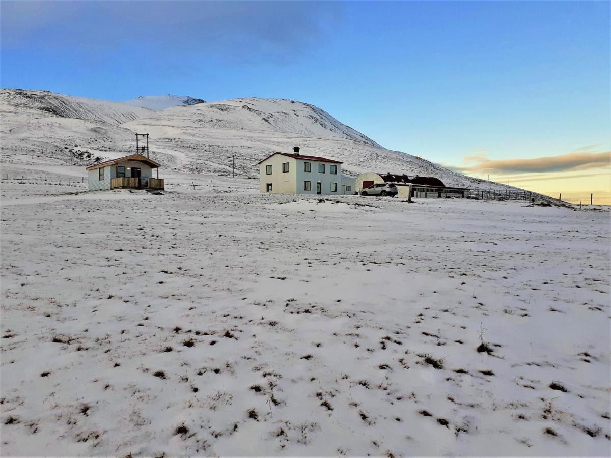 Skarth Guesthouse Saudarkrokur ภายนอก รูปภาพ
