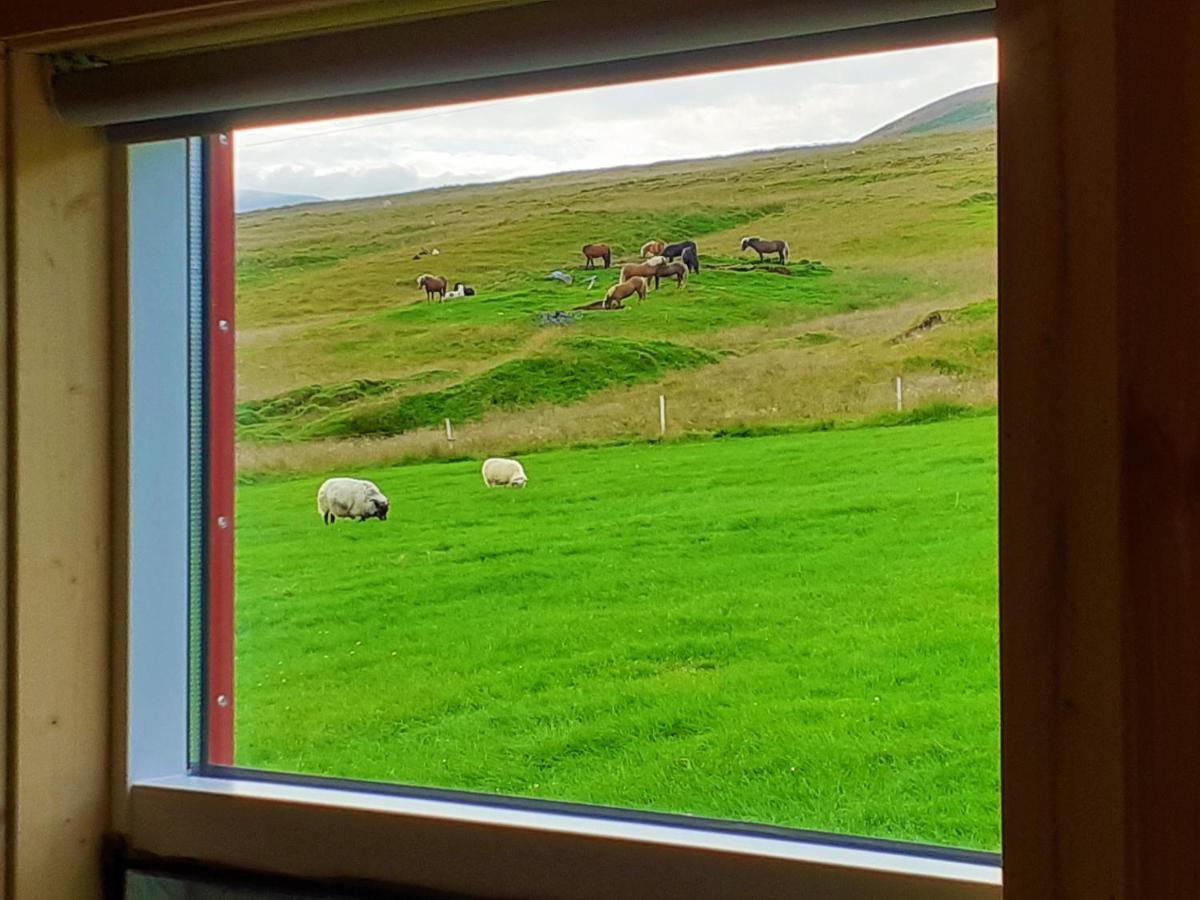 Skarth Guesthouse Saudarkrokur ภายนอก รูปภาพ